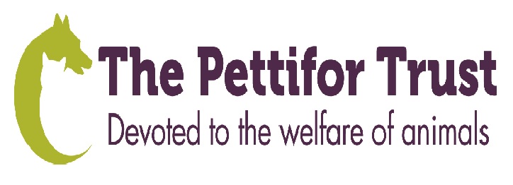 Pettifor Trust Logo